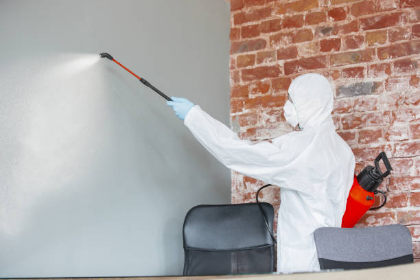 Best Post-Remediation Verification Testing  in Wakefield, NE