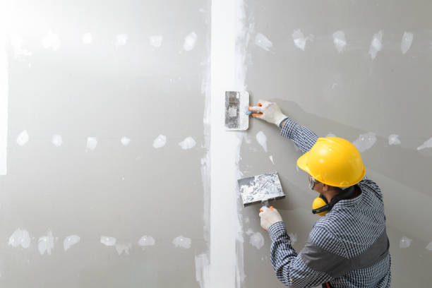 Wakefield, NE Mold Removal Company