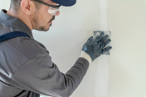 Best Water Damage & Mold Remediation  in Wakefield, NE