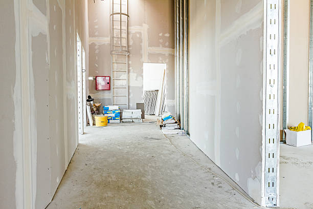 Best Emergency Mold Remediation  in Wakefield, NE